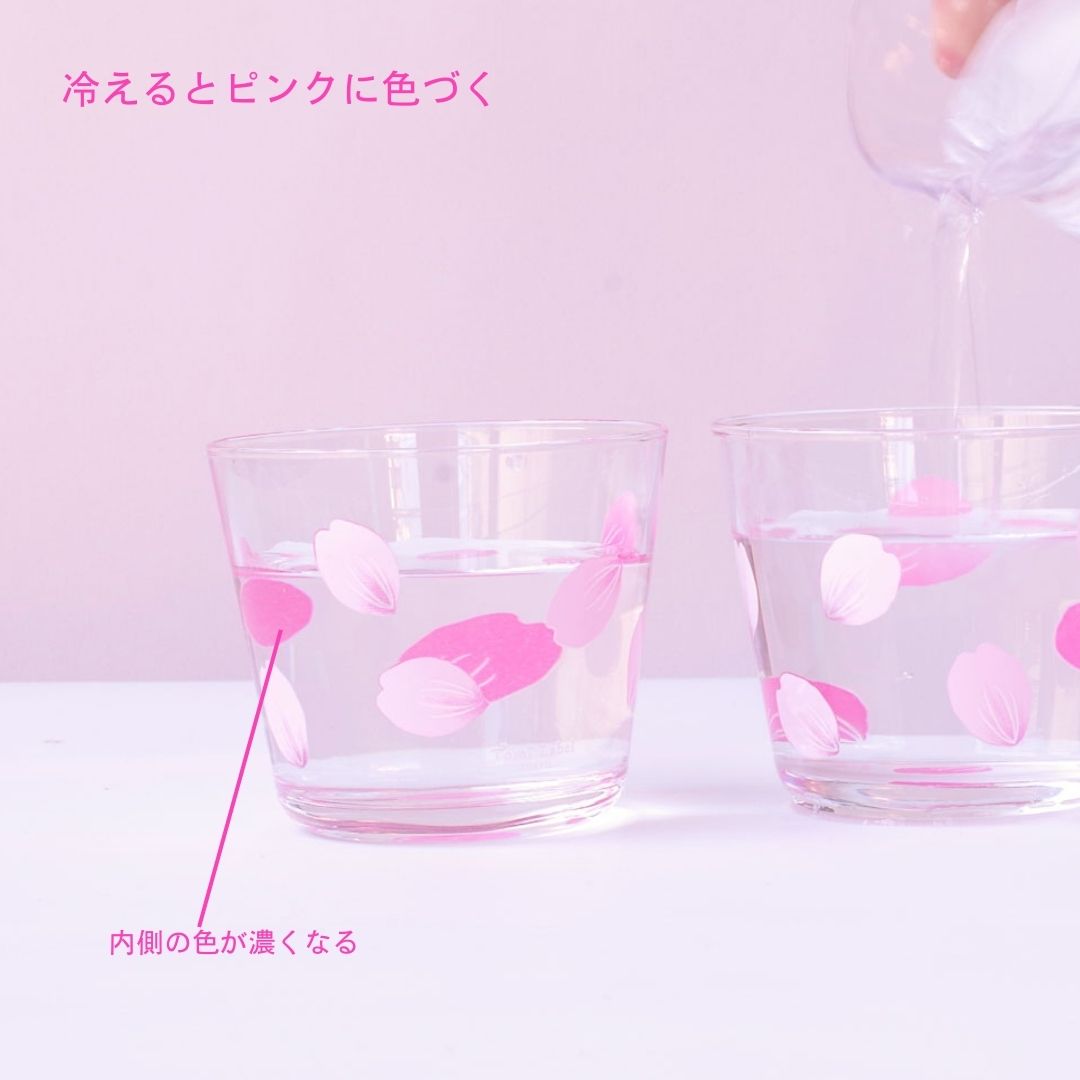 WEB限定／カラーチェンジ／サクラカップ2個／ソメイヨシノ／ECST060