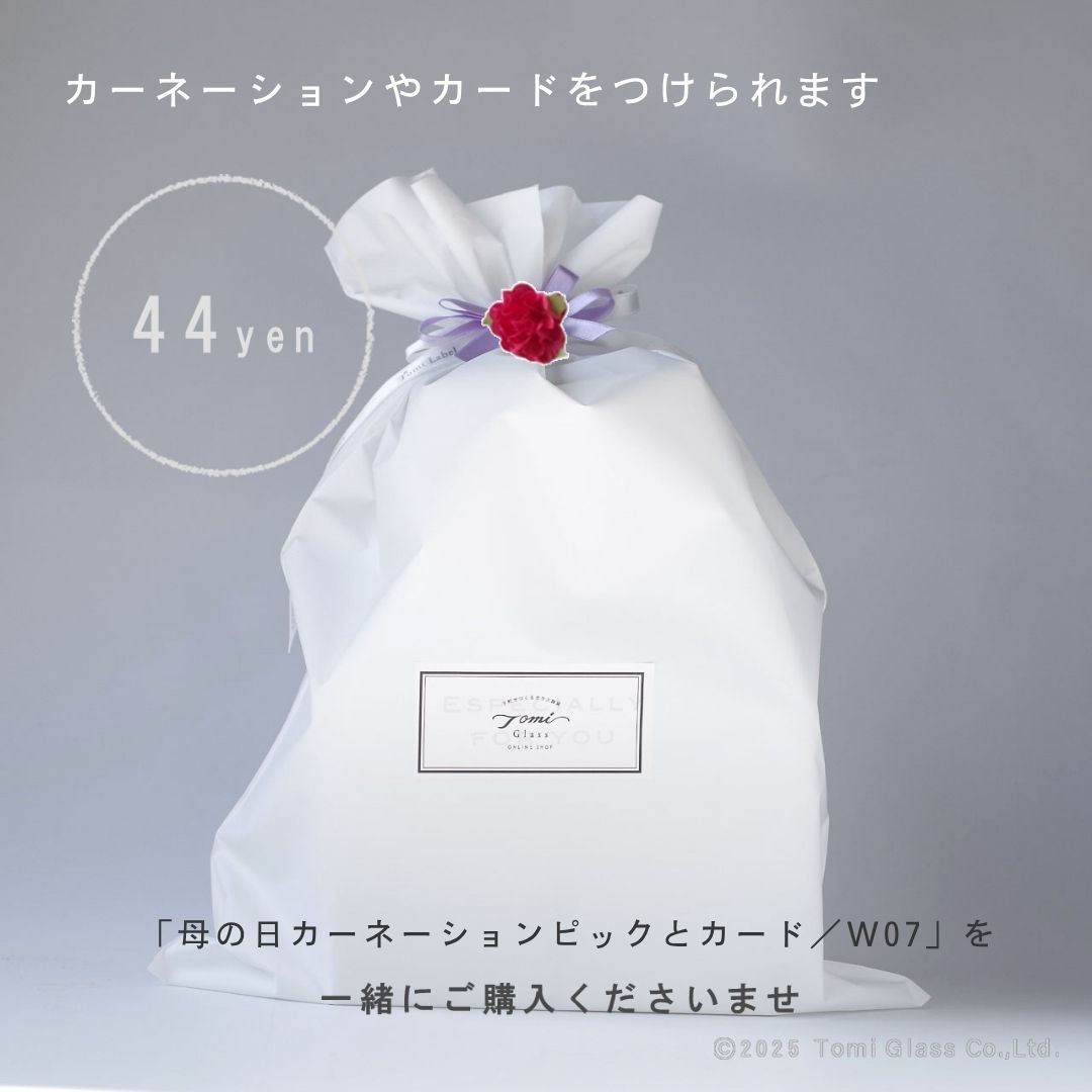 【母の日直前割・ラッピング無料】WEB限定／茶のひとときセット／ECST064