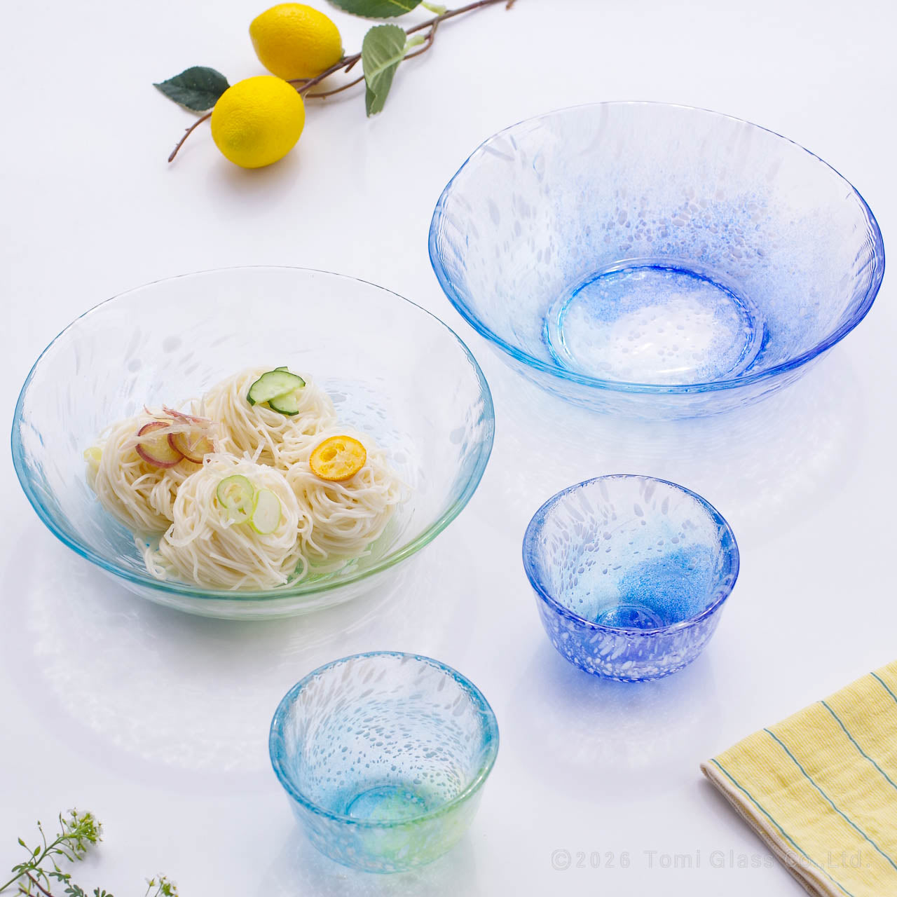 【送料無料】WEB限定／江戸硝子／えどふぇありー／そうめん４点セット／ECST076