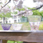 うきよ／花酒器セット／お花見／ST10224
