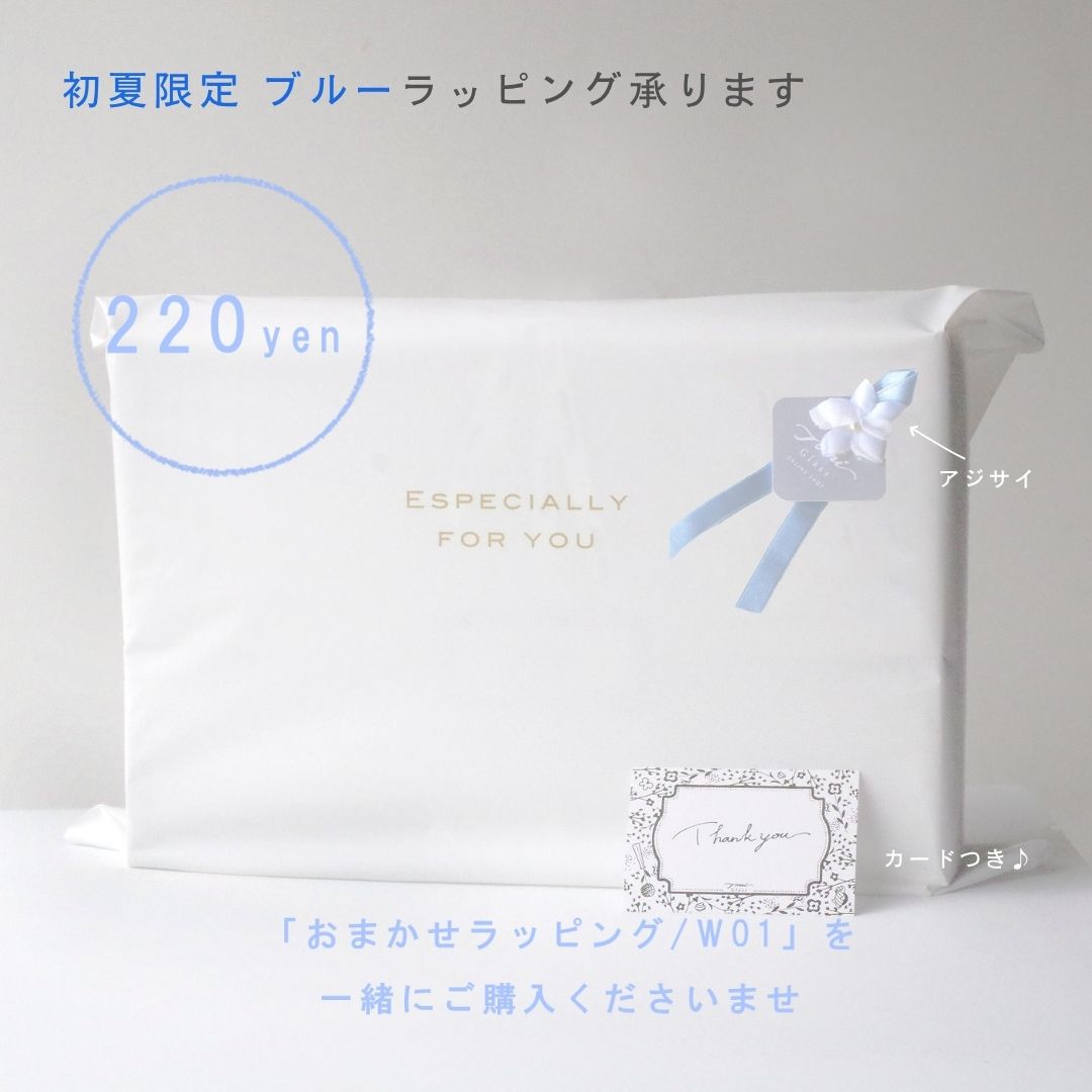【送料無料】WEB限定／江戸硝子／うきよ／そうめん４点セット／ECST075